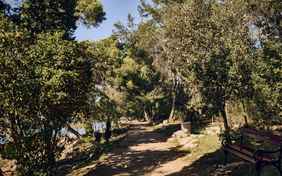 Radeweg direkt am Meer